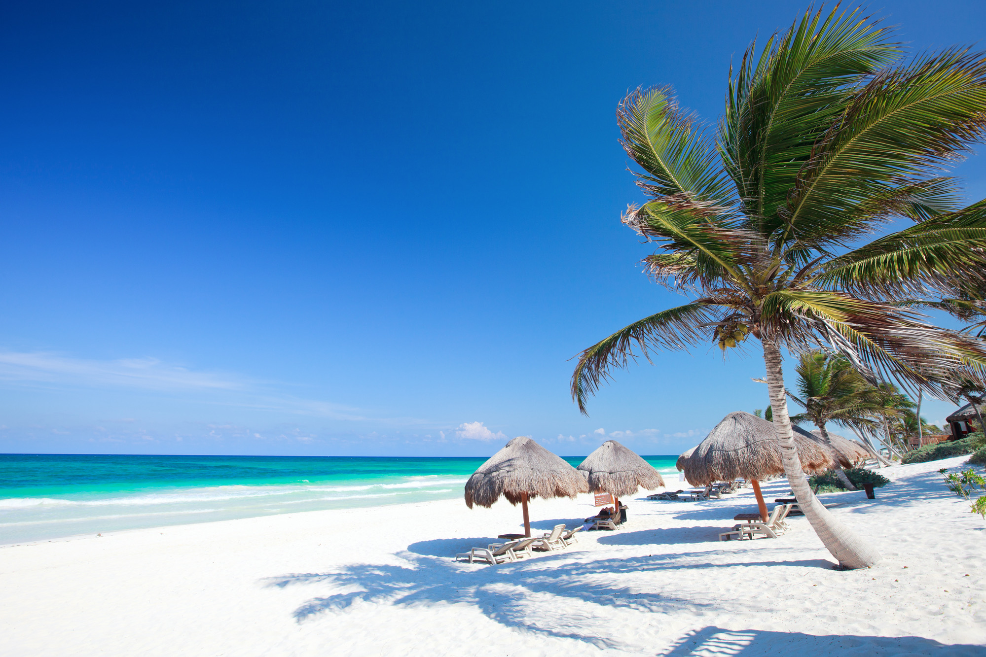 playa del carmen